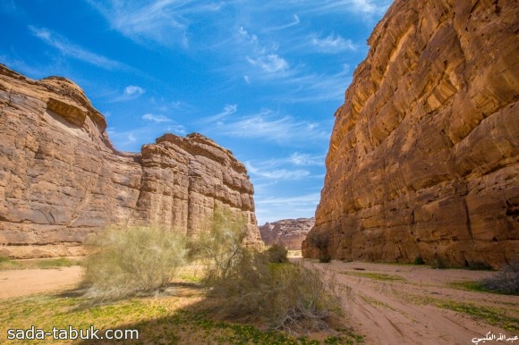 جبال شرعان ( عدسة عبدالله العكيمي )