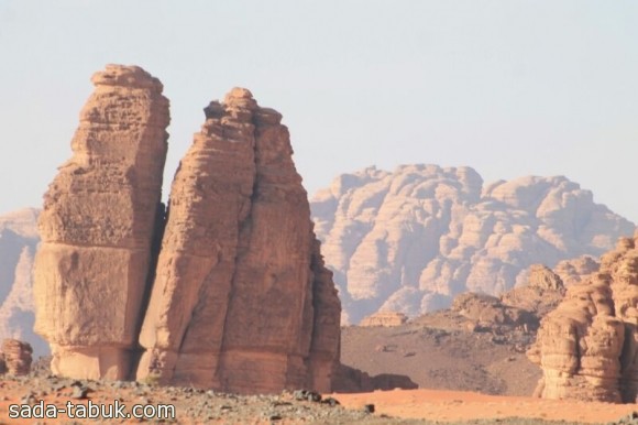 الزيتة ( عدسة صالح العطوي )