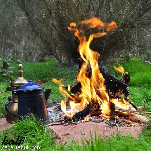 ربيع العام الماضي طريق ضباء ( عدسة خلف هويمل العمراني )