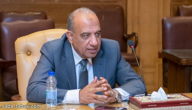 وزير الكهرباء المصري: بدء تشغيل الربط الكهربائي مع المملكة قبل بداية الصيف المقبل
