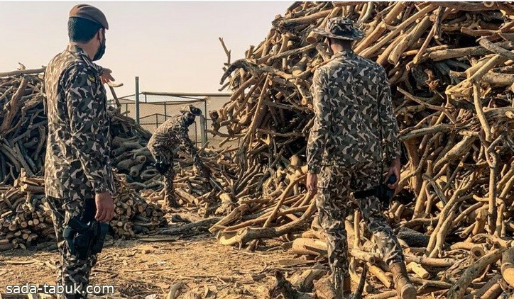 مصادرة مُعدّة لتجريف التربة.. ضبط مخالف لنظام البيئة في محمية الأمير محمد بن سلمان