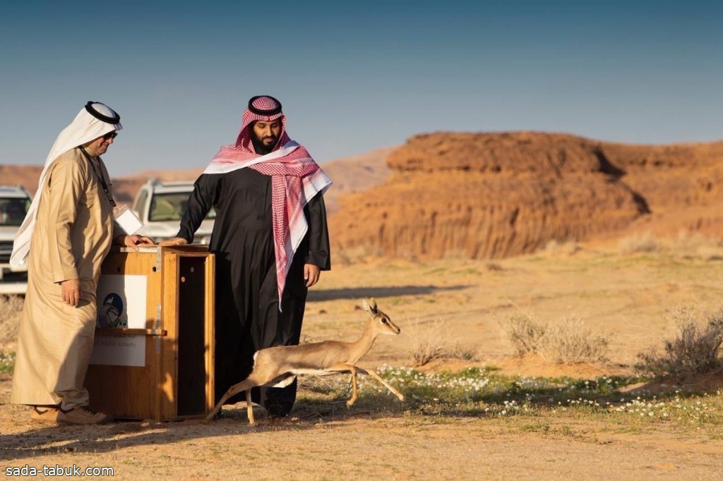 إطلاق الخطة المتكاملة لتطوير وتنمية محمية الأمير محمد بن سلمان الملكية