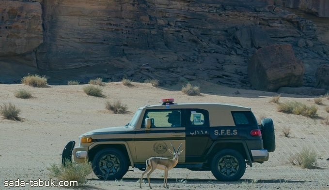 الأمن البيئي يوضح عقوبة أستخدام أسلحة الشوزن في الصيد دون ترخيص