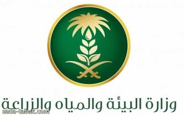 البيئة" تطلق خدمة حجز موعد إلكتروني لذبح الأضاحي بمسالخ الرياض ومكة المكرمة