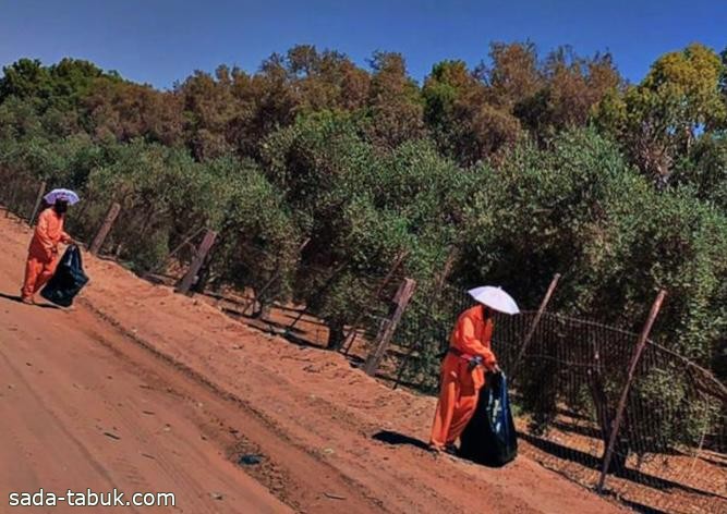 بلدية بئر بن هرماس تزود العمال بالمظلات لحمايتهم من أشعة الشمس الحارقة