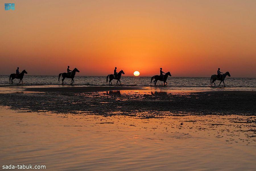 "واس" تفوز بالمركز الأول في مسابقة الاتحاد السعودي للفروسية "الخيل بعدستك"