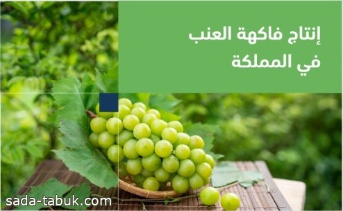 "البيئة": المملكة تنتج 101 ألف طن من العنب سنويًّا