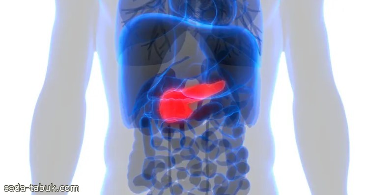 عمليات زرع خلايا من البنكرياس قد "تغير حياة" مرضى السكري