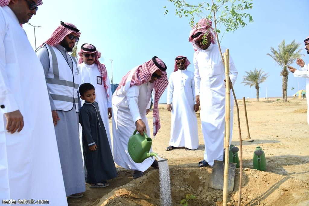 أمانة جازان تزرع ٢٩٠ شتلة بمركز الشقيق