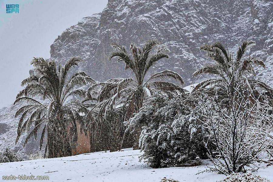 بسبب "المنخفض القبرصي".. الأرصاد: تبوك على موعد مع تساقُط الثلوج (صور)