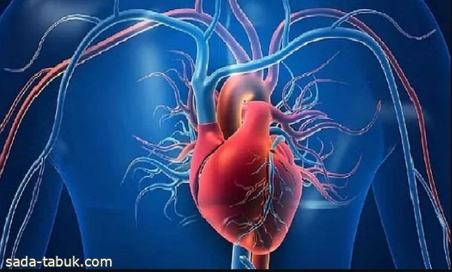 النمر: عمليات القلب المفتوح تحسن عضلة القلب في 50% من الحالات