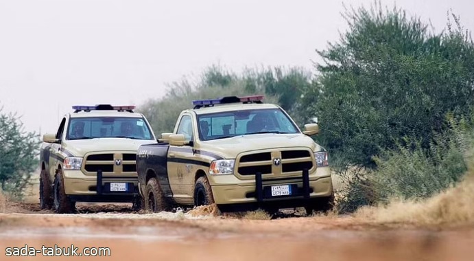 "الأمن البيئي" يوضح عقوبة الرعي المخالف في «الأحمية الرعوية» بدون ترخيص