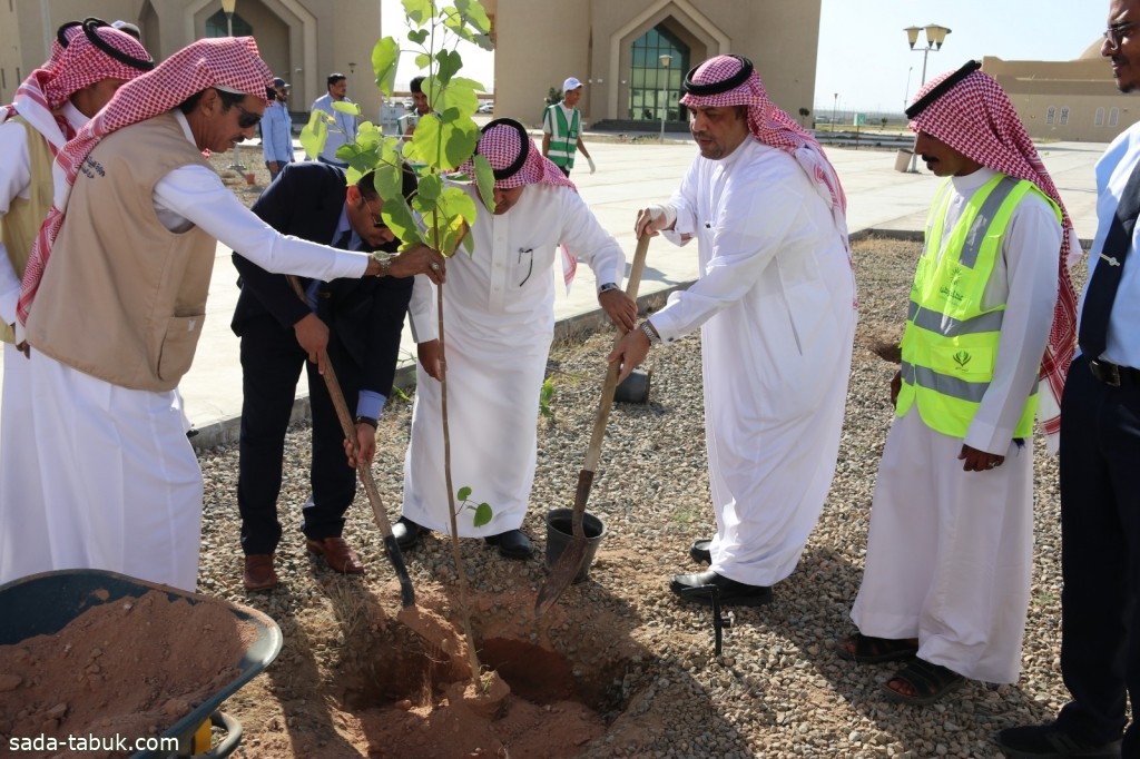 البيئة " بأملج تطلق حملة لتنظيف الشواطئ وغرس الشتلات وتنظيف أعماق البحر في أسبوع البيئة