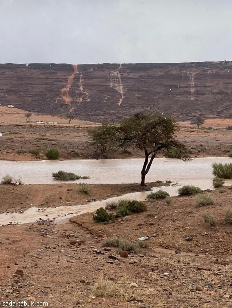 هطول أمطار على عدد من المراكز بمنطقة تبوك