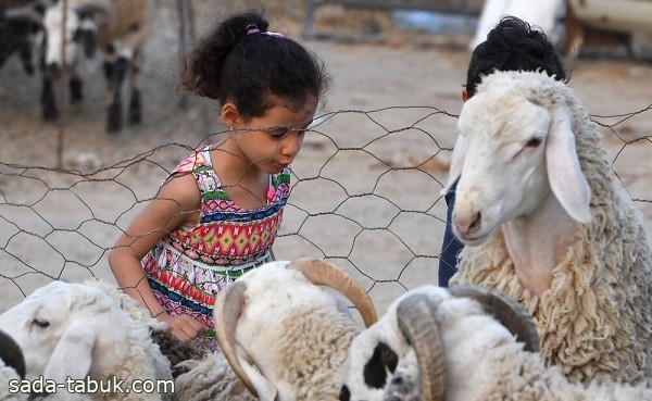 "سعود الطبية" تدعو لأهمية تهيئة الأطفال نفسيًا لمشهد ذبح الأضاحي