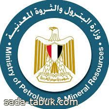 لجنة التسعير التلقائى للمنتجات البترولية في مصر تقرر رفع سعر لتر البنزين