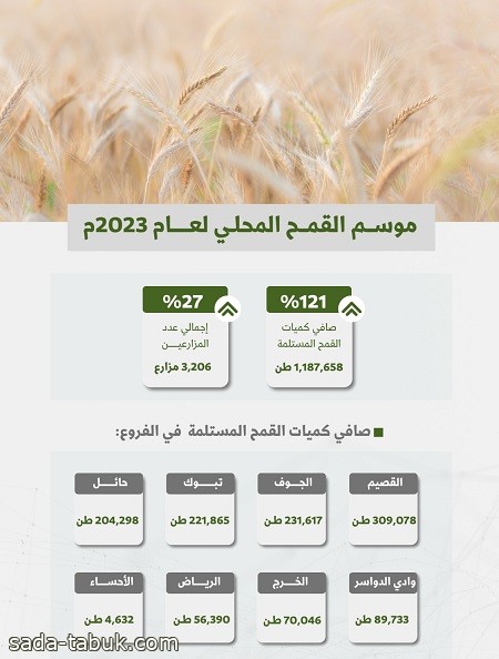 الأمن الغذائي تعلن انتهاء موسم شراء القمح المحلي وتستكمل صرف كامل مستحقات المزارعين