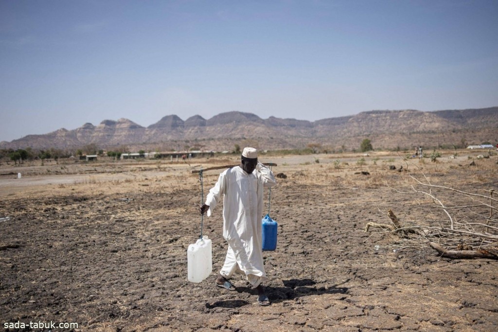 الأغذية العالمي : أقل من 5 % من السودانيين يستطيعون توفير وجبة كاملة