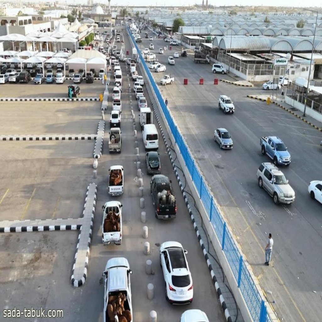 أكثر من 97 ألف رأس ماشية و40 ألف ذبيحة في أول أيام عيد الأضحى بأسواق ومسالخ الرياض